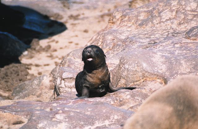 10seal